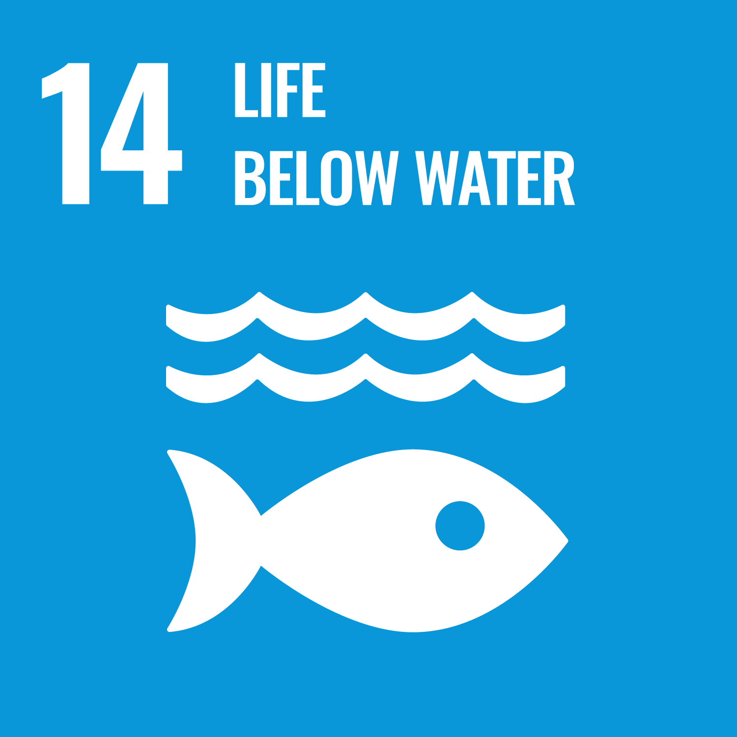 UN SDG goal 14: Life below water